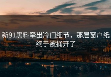 新91黑料牵出冷门细节，那层窗户纸终于被捅开了