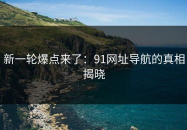 新一轮爆点来了：91网址导航的真相揭晓