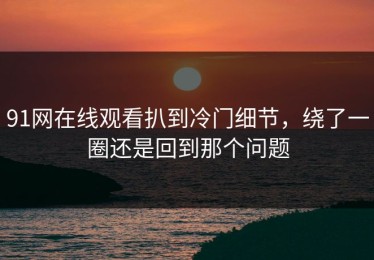 91网在线观看扒到冷门细节，绕了一圈还是回到那个问题