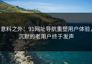 意料之外：91网址导航重塑用户体验，沉默的老用户终于发声