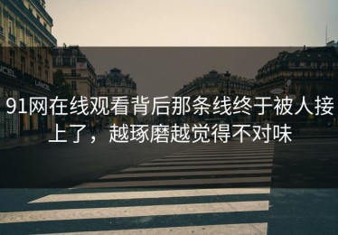 91网在线观看背后那条线终于被人接上了，越琢磨越觉得不对味