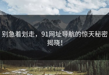 别急着划走，91网址导航的惊天秘密揭晓！