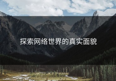 探索网络世界的真实面貌
