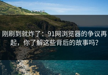 刚刷到就炸了：91网浏览器的争议再起，你了解这些背后的故事吗？