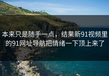本来只是随手一点，结果新91视频里的91网址导航把情绪一下顶上来了