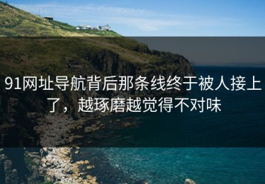 91网址导航背后那条线终于被人接上了，越琢磨越觉得不对味