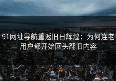 91网址导航重返旧日辉煌：为何连老用户都开始回头翻旧内容
