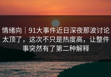 情绪向｜91大事件近日深夜那波讨论太顶了，这次不只是热度高，让整件事突然有了第二种解释