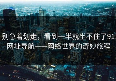 别急着划走，看到一半就坐不住了91网址导航——网络世界的奇妙旅程