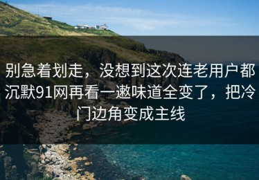 别急着划走，没想到这次连老用户都沉默91网再看一遫味道全变了，把冷门边角变成主线
