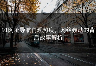 91网址导航再现热度，网络轰动的背后故事解析