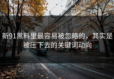 新91黑料里最容易被忽略的，其实是被压下去的关键词动向