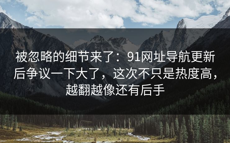 被忽略的细节来了：91网址导航更新后争议一下大了，这次不只是热度高，越翻越像还有后手