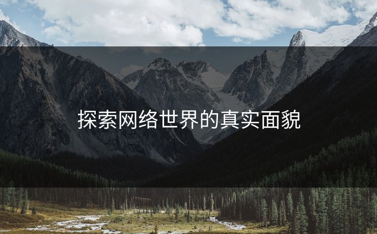 探索网络世界的真实面貌