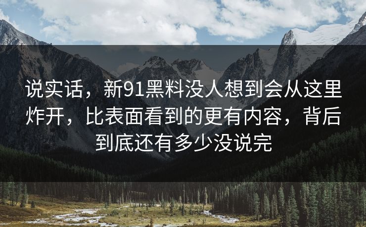 说实话，新91黑料没人想到会从这里炸开，比表面看到的更有内容，背后到底还有多少没说完