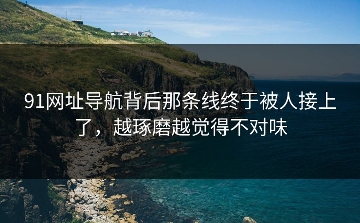 91网址导航背后那条线终于被人接上了，越琢磨越觉得不对味
