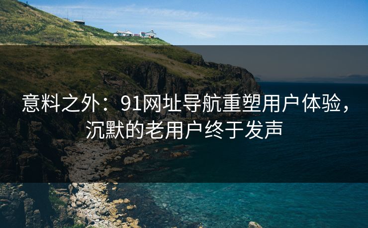 意料之外：91网址导航重塑用户体验，沉默的老用户终于发声