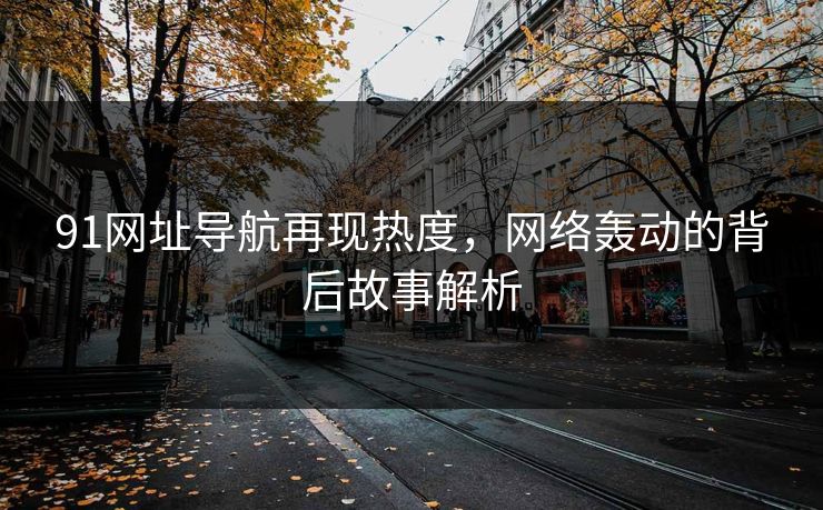 91网址导航再现热度,网络轰动的背后故事解析 91网址导航再现热度,网络轰动的背后故事解析
