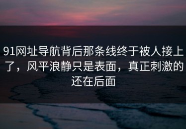91网址导航背后那条线终于被人接上了，风平浪静只是表面，真正刺激的还在后面