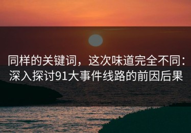 同样的关键词，这次味道完全不同：深入探讨91大事件线路的前因后果