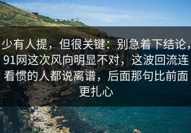 少有人提，但很关键：别急着下结论，91网这次风向明显不对，这波回流连看惯的人都说离谱，后面那句比前面更扎心