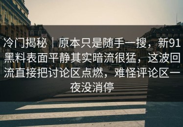 冷门揭秘｜原本只是随手一搜，新91黑料表面平静其实暗流很猛，这波回流直接把讨论区点燃，难怪评论区一夜没消停