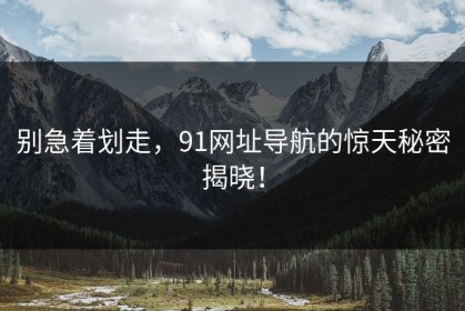 别急着划走，91网址导航的惊天秘密揭晓！