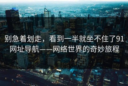 别急着划走，看到一半就坐不住了91网址导航——网络世界的奇妙旅程
