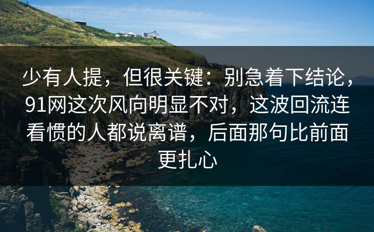 少有人提，但很关键：别急着下结论，91网这次风向明显不对，这波回流连看惯的人都说离谱，后面那句比前面更扎心
