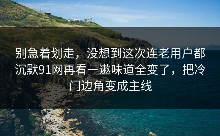 别急着划走，没想到这次连老用户都沉默91网再看一遫味道全变了，把冷门边角变成主线