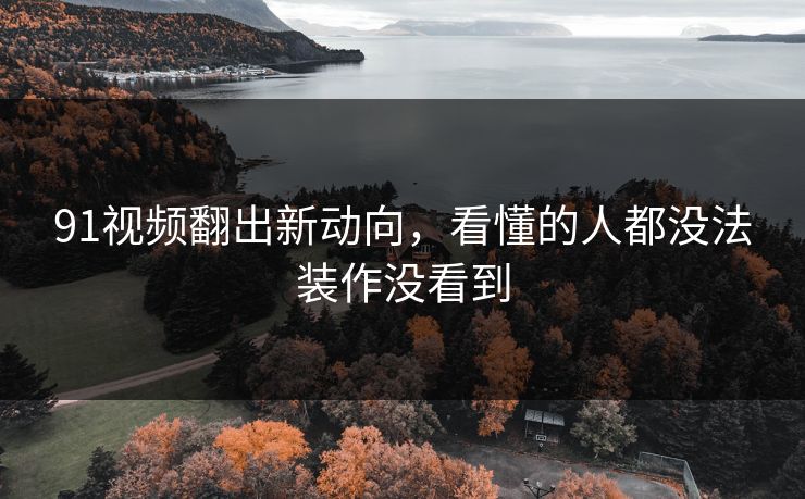 91视频翻出新动向，看懂的人都没法装作没看到
