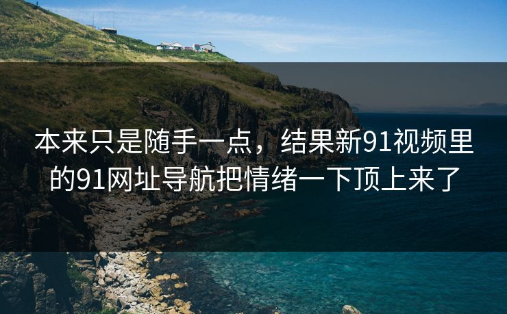 本来只是随手一点，结果新91视频里的91网址导航把情绪一下顶上来了