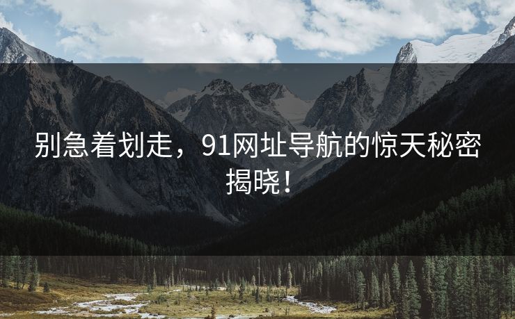 别急着划走,91网址导航的惊天秘密揭晓! 别急着划走,91网址导航的惊天秘密揭晓!